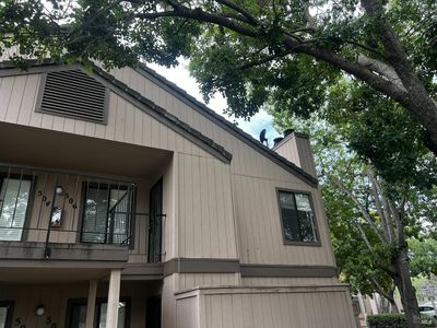 1801 Marshall Road #506