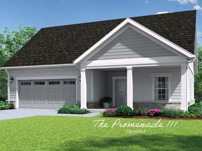 The Promenade III Plan, The Courtyards at New Seasons