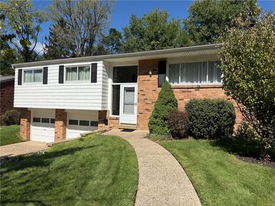 441 Springdale Dr