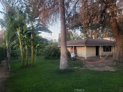 1239 S Vine Ave