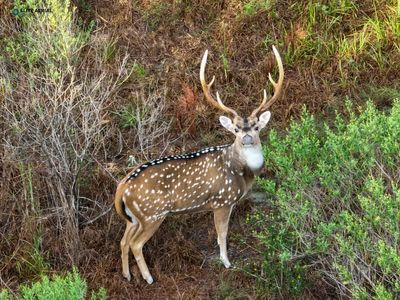 490 Private Road 7400