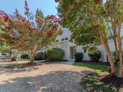 1022 Fishing Bay Rd #3