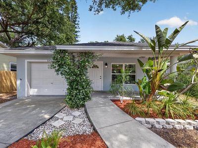 541 Plumosa Ave