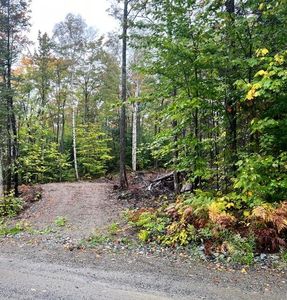 Property at 2010 Pine Road, Carrabassett Valley, ME