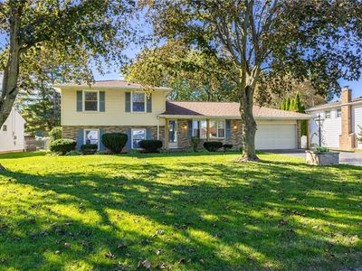 111 Stoneycreek Dr