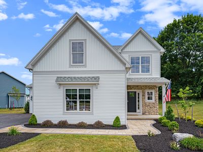 The Bailey Plan, Wolfsberger Park