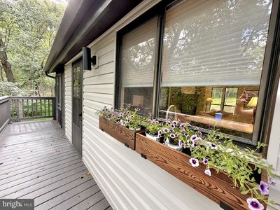 647 The Woods Rd