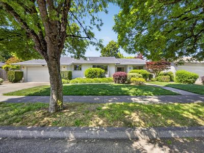 3613 Lurline Way