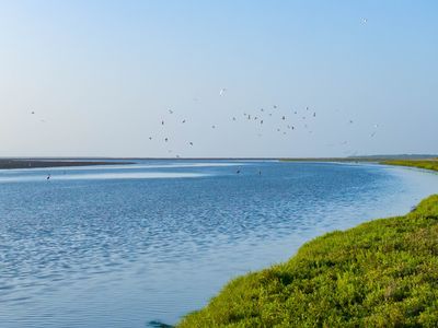 1118 County Road 2220E