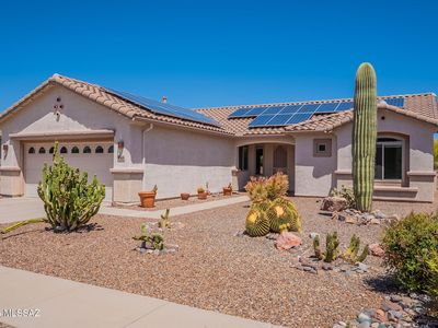 9368 N Sunflower Blossom Pl