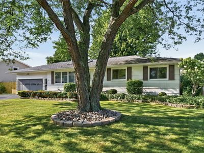 68 Valencia Dr