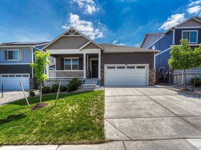 14032 Shasta Daisy Street