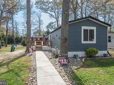 37599 Shady Cir
