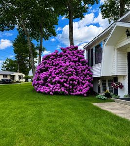 Property at 8 Radcliffe Drive, Nashua, NH