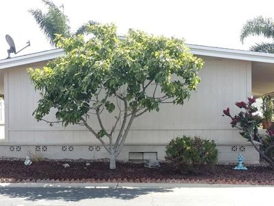 135 Tranquila Dr #61