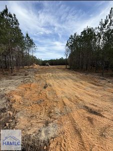 Property at 1410 Penny Morris Rd, Baxley, GA