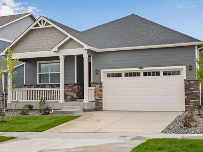 14016 Alpine Phlox Lane