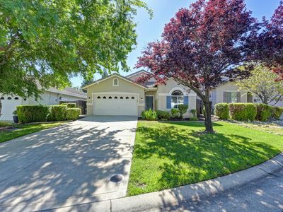 133 Paradise View Ct