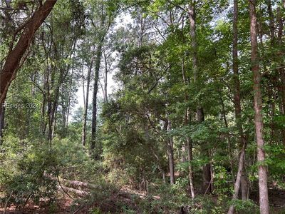 Property at 114 Cooper River Landing Rd, Daufuskie Island, SC