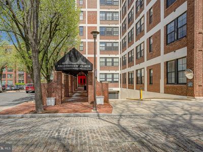 315 New St APT 504