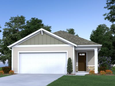 Holly A Plan, Canary Woods