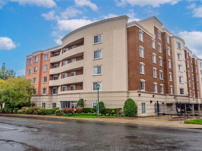 242 Maple Avenue #319