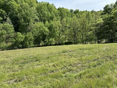Property at 0 Massey Hollow Rd, Elmwood, TN