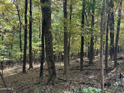 Property at LOT 3 Glade Pike, Manns Choice, PA