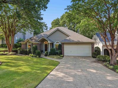 12 Cedar Branch Dr