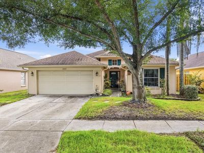 10271 OASIS PALM DR