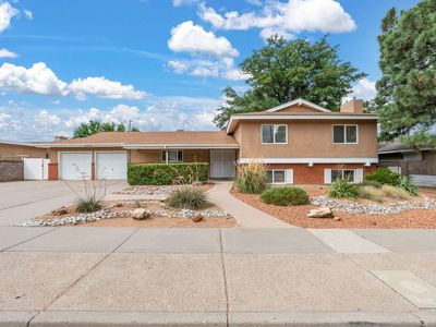 8910 Princess Jeanne Ave NE