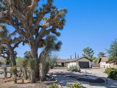 56347 Tamarisk Ct