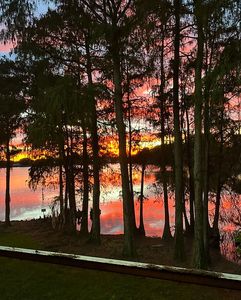 4575 S Texas Ave APT 208