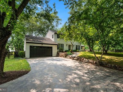 497 Black Swan Ln