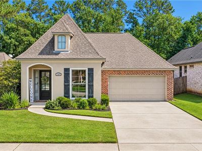 329 Brown Thrasher Loop S
