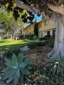 6099 Jacaranda Way APT B