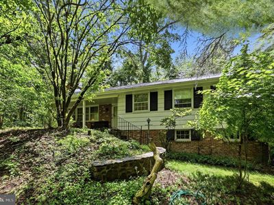 241 Timber Jump Ln