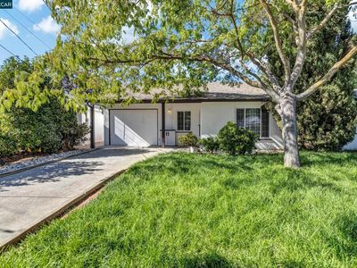 1162 Francine Ct