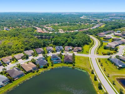 826 Honeyflower Loop