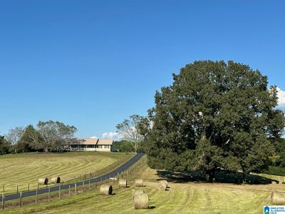 2310 Mineral Springs Rd