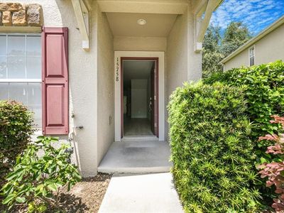 15758 Fishhawk Falls Dr