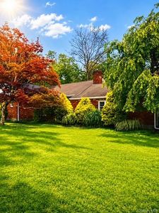183 White Road