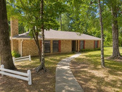 247 County Road 169
