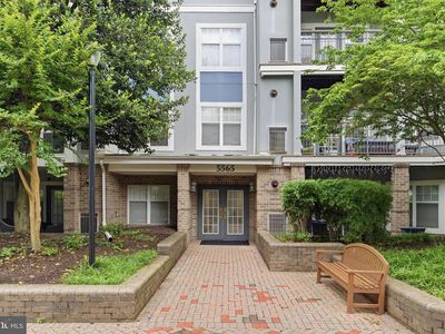 5565 Seminary Rd APT 313