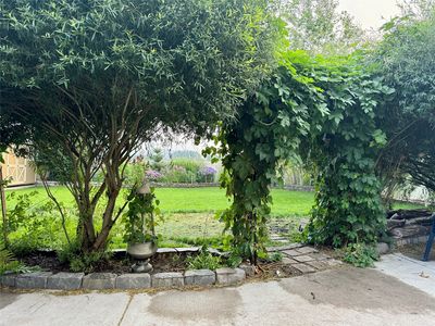 521 Evening Star Ln