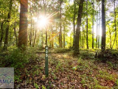 Property at LOT 405 Blackberry Ln NE, Townsend, GA