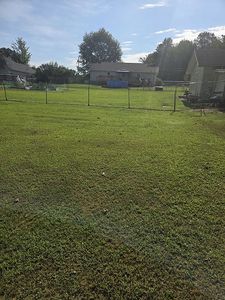 295 Winkles Rd