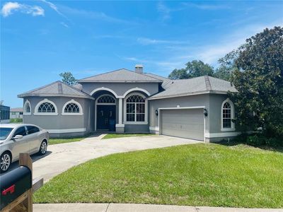 4045 Hanging Moss Loop