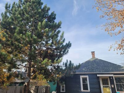505.5 Cherry St