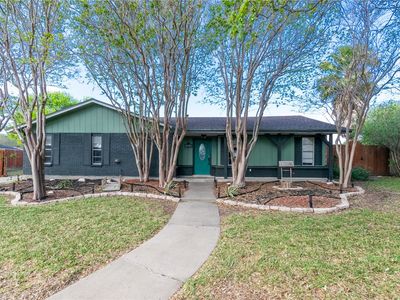 1815 Live Oak Dr